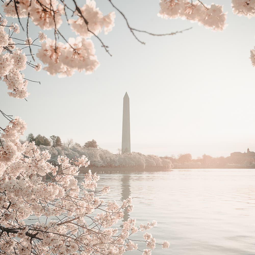 Washington DC